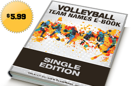 Clever Volleyball Team Names That Start With S